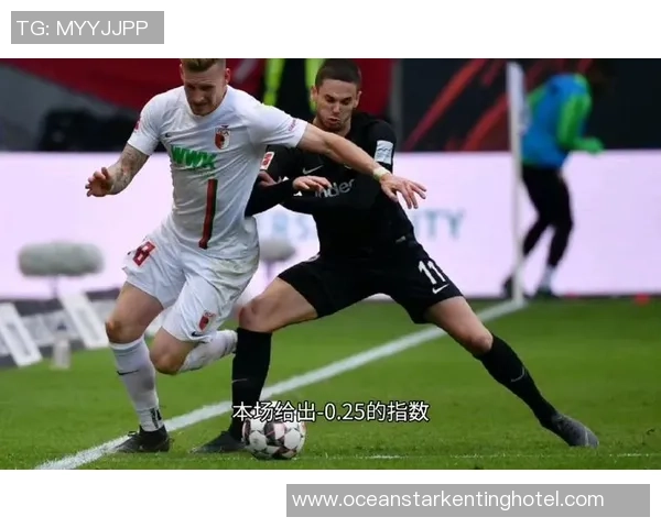 竞彩002帕德博恩对阵汉堡分析及赛前预测全面解读