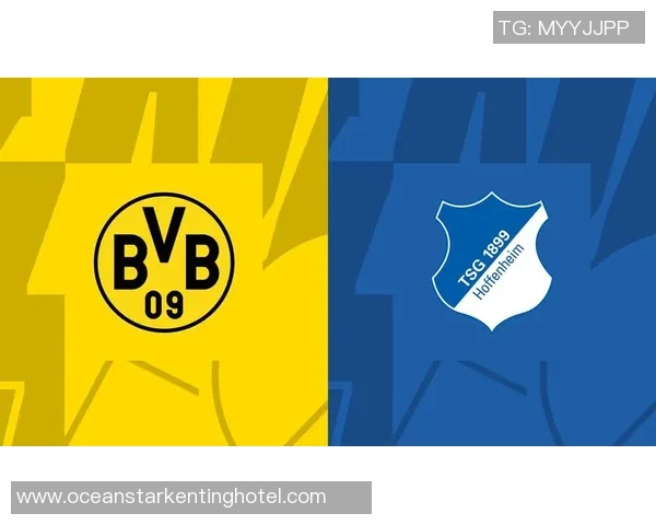 霍芬海姆与沙尔克04对决前瞻分析及比赛结果预测