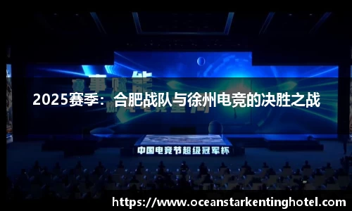 2025赛季：合肥战队与徐州电竞的决胜之战